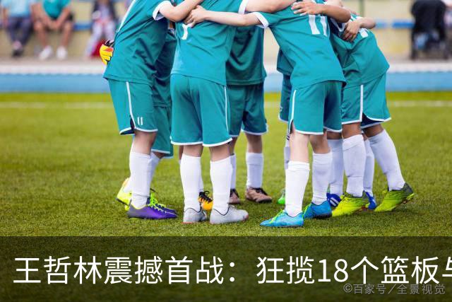 王哲林震撼首战：狂揽18个篮板与14分展现统治力！